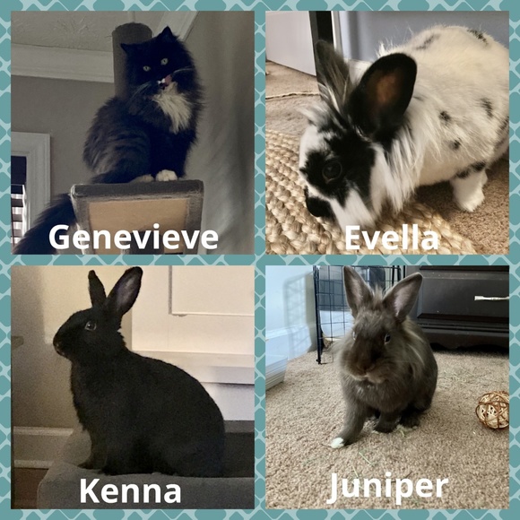 Meet your Posher, Melanie and the kids! - Picture 6 of 6